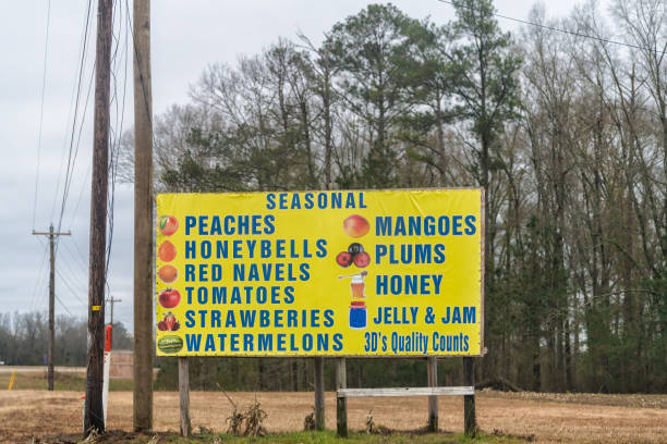 Florida panhandle road street with advertisement sign for seasonal citrus fruit market stand in winter for oranges Defuniak Springs, USA - January 8, 2021: Florida panhandle road street with advertisement sign for seasonal citrus fruit market stand in winter for oranges florida food stock pictures, royalty-free photos & images