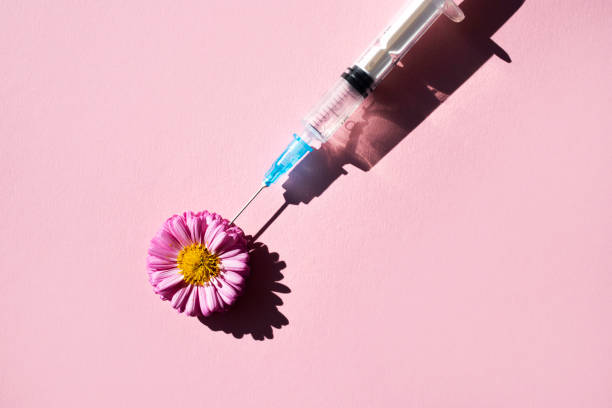 istock A natural pink flower and a syringe for injection casts a shadow on a pink background. View from above. The concept of cosmetic procedures. 1352303445