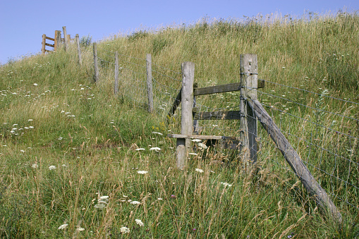 A traditional wood fence style with overgrown grass