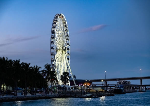 istock Ferris Wheel at night in Miami Florida 1352306497