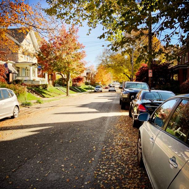 Orange maple leaves have fallen on the street, which is beside a road