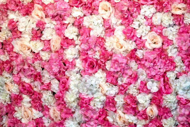 istock Red pink white roses bouquet, tightly pressed 1352309882