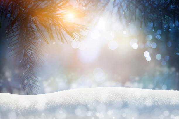 istock Pine tree background for Christmas decoration with snow and defocused lights 1352313380