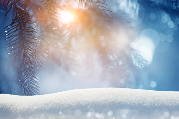 istock Pine tree background for Christmas decoration with snow and defocused lights 1352314107