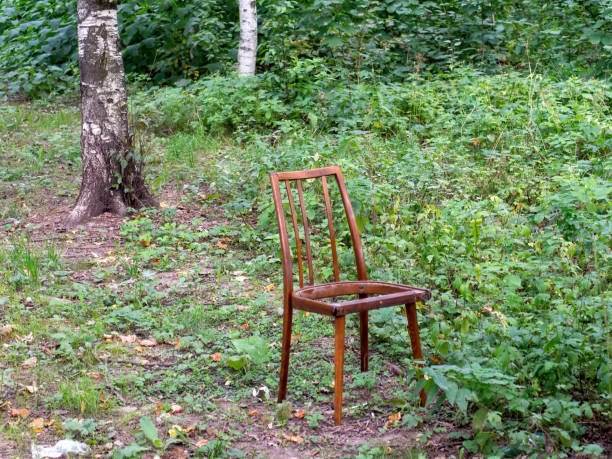 istock broken wooden chair in the woods 1352318413