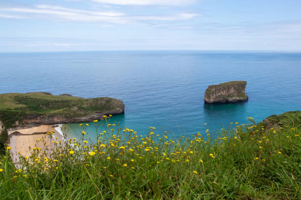 istock Wild beach of northern Spain 1352319218