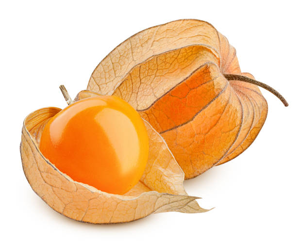 Cape gooseberry, physalis isolated on white background, clipping path, full depth of field Cape gooseberry, physalis isolated on white background, clipping path, full depth of field gooseberry cape winter cherry berry fruit stock pictures, royalty-free photos & images