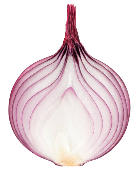 istock red onion isolated on white background, clipping path, full depth of field 1352320941