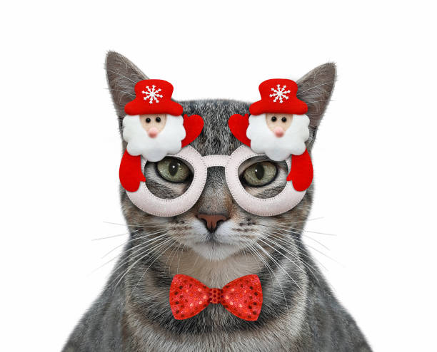 istock Cat gray wears Christmas mask 1352321980
