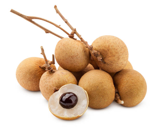istock longan, isolated on white background, clipping path, full depth of field 1352326700