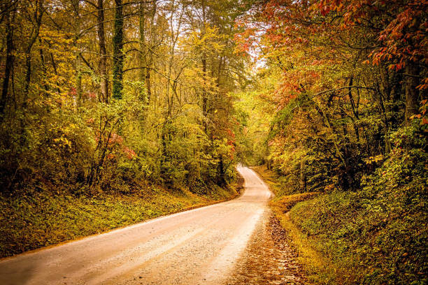 istock Georgia Country Roads in the Fall 1352328007