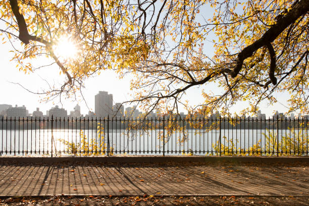 Central Park Reservoir Autumn views of the reservoir in Central Park. upper east side manhattan stock pictures, royalty-free photos & images