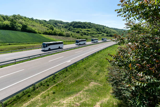 istock A convoy of buses heading down the highway between meadows and dense forests. 1352330528