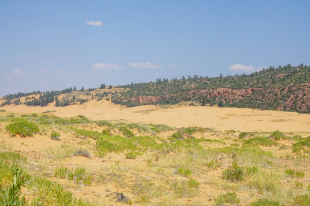 istock Exploring the Coral Pink Sand Dunes State Park in Kanab, Utah 1352330541