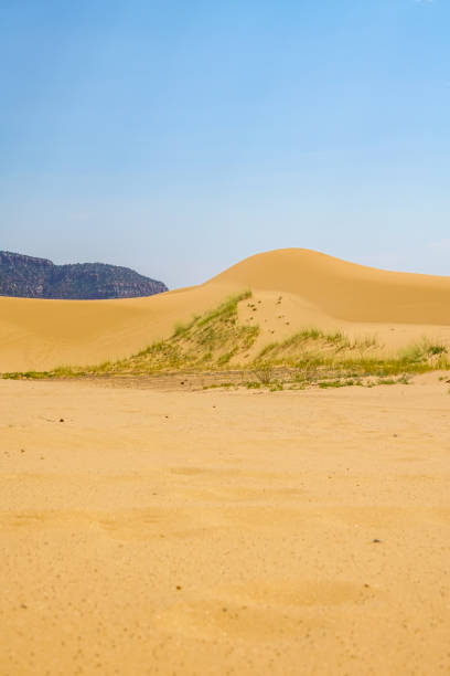 istock Exploring the Coral Pink Sand Dunes State Park in Kanab, Utah 1352330623