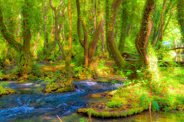 istock Cold mountain creek passing trough  natural environment. 1352333850