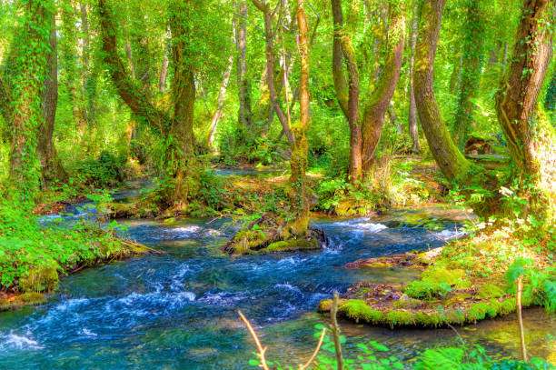 istock Cold mountain creek passing trough  natural environment. 1352334353
