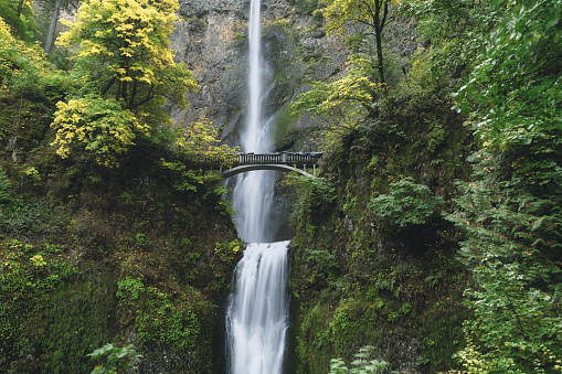 Multnomah Falls,  a 611-foot-tall raging, breathtaking torrent of ice-cold water. Fed by rainwater, melting snow, and an underground spring, the falls can be seen flowing year-round. One of Oregon's most visited destinations.