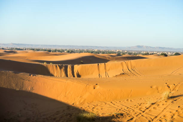 istock landscape in sahara desert, photo as background 1352339717