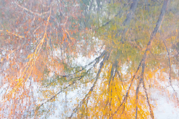istock Fall Trees reflected in the water-Mill Creek,Owen County, Indiana 1352340977