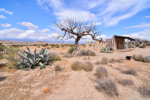 istock Desert Tabernas in Almeria Province Spain 1352341026