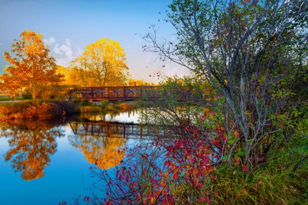 istock Walking bridge over the AuSable river-Grayling Michigan 1352341214