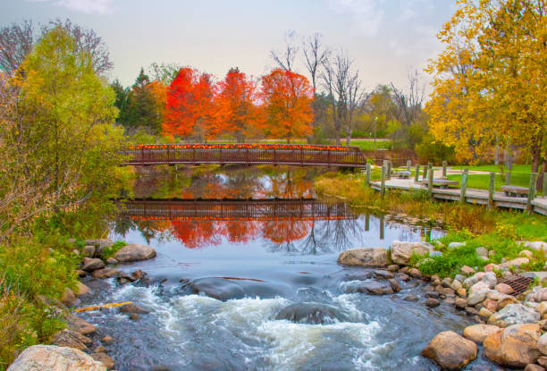 istock Waterfall on the AuSable River in fall-Grayling Michigan 1352341216