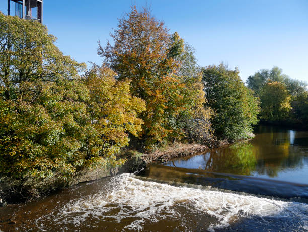 istock The River Calder from the bridge across it in Padiham Town Centre.This river powered 20 cotton weaving Mills in 1906. None now remain in this use 1352341909