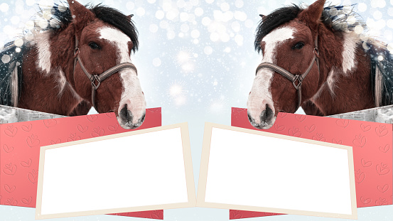 Horses hold frames for congratulations. The concept of winter holidays, art design