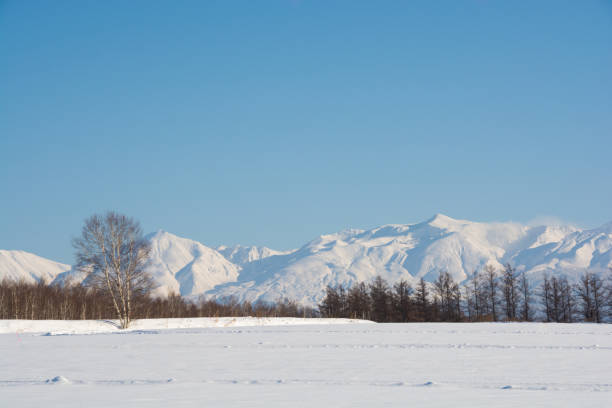 istock Snowfields and mountains with the blue sky 1352346653