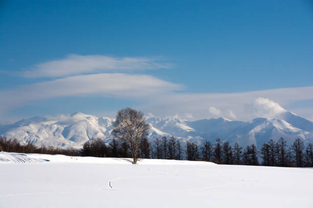 istock Snowfields and mountains with the blue sky 1352346891