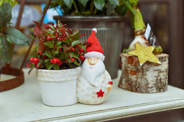 pot de décoration avec père noël et gaultheria procumbens - wintergreen - wintergreen photos et images de collection