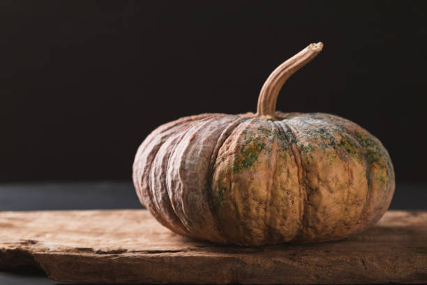 istock Asian pumpkin on wooden with black background 1352355408