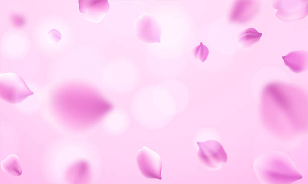istock Luxury fresh rose petals are falling in the air 1352360480