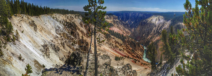 High-angle panoramic shot of the Yellowstone River cutting through the colored rock of the Grand Canyon of the Yellowstone in Yellowstone National Park
