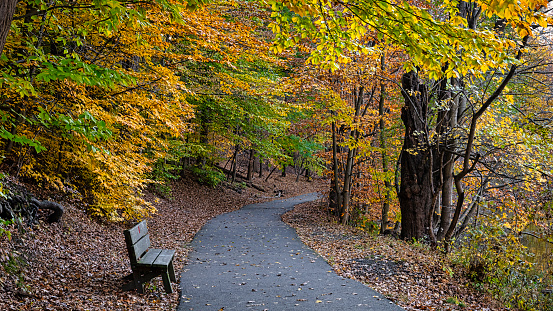 Colorful foliage along Patriots Path at Speedwell Park in Morristown, New Jersey.