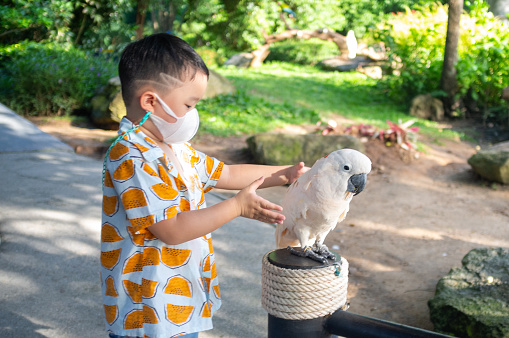 Touching and live with cockatoo