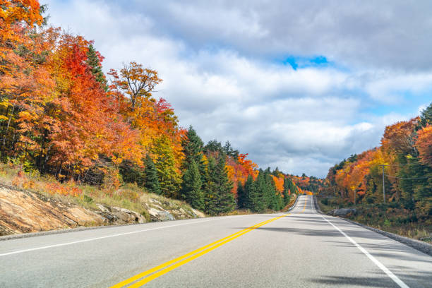istock Fall colors Algonquin Provincial Park, Ontario, Canada 1352367867