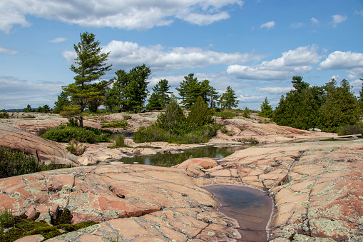 Red granite and pine trees on the Canadian Shield in Killarney, Ontario, Canada on a summer day