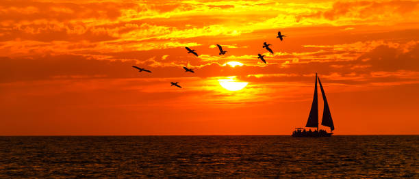 istock Sailboat Ocean Sailing Sunset Banner 1352368021