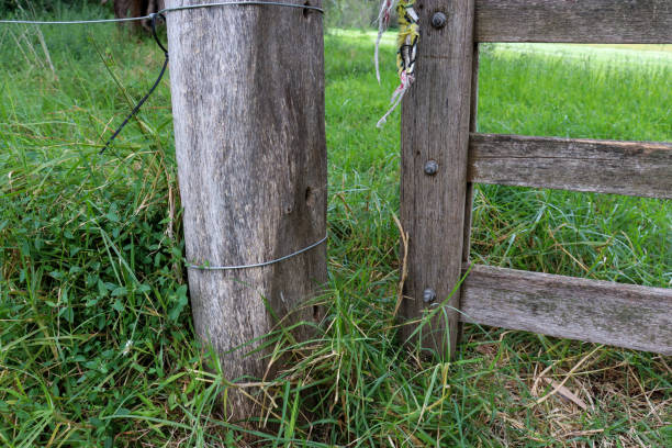 istock close up of old timber gate 1352370041