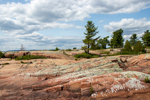 Red granite and pine trees on the Canadian Shield in Killarney, Ontario, Canada on a summer day