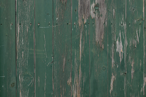 Wooden fence painted green.