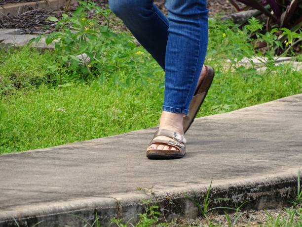 istock Walking outdoors 1352378931