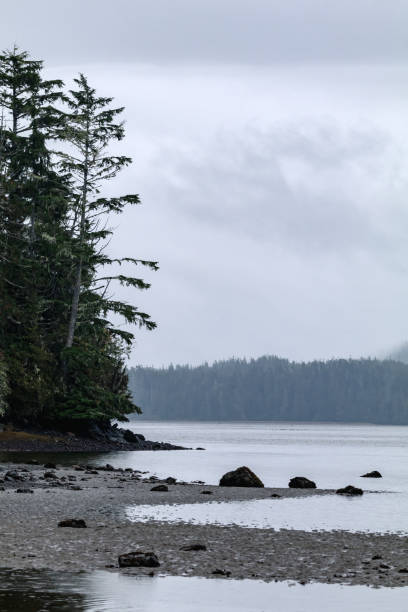 istock Vancouver Island Wilderness Area 1352379832
