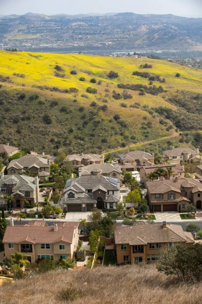 istock Yorba Linda, California 1352379842