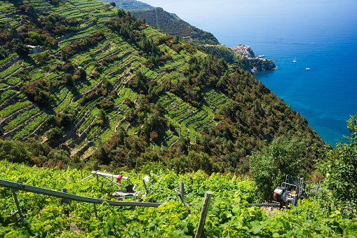 Monorail system used to access terraced vineyards in Cinque Terre near Volastra village