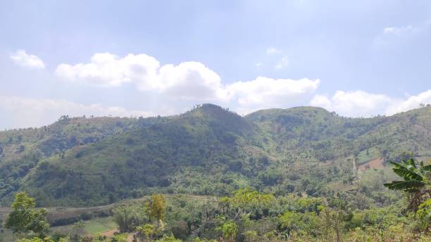 istock Hillside view - stock photo 1352384976