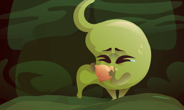Cartoon stomach nausea and vomiting, poisonous Cartoon stomach nausea and vomiting, unhealthy character of green color breathing in paper bag, Food poisonous, pregnancy medicine concept with cute mascot swollen abdomen organ Vector illustration puke green color stock illustrations