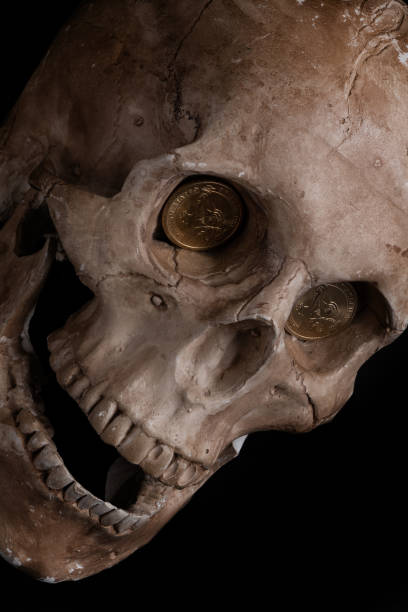 istock A dummy of a human skull and American coins 1352386595
